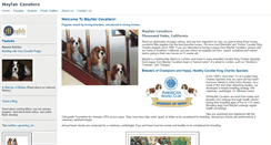 Desktop Screenshot of mayfaircavaliers.com