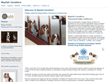 Tablet Screenshot of mayfaircavaliers.com